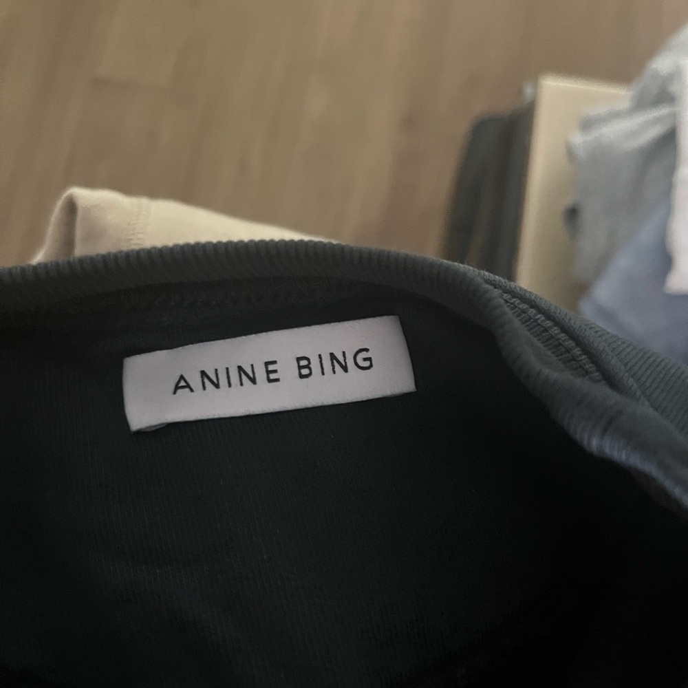 Anine Bing